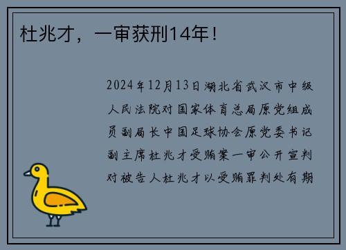 杜兆才，一审获刑14年！
