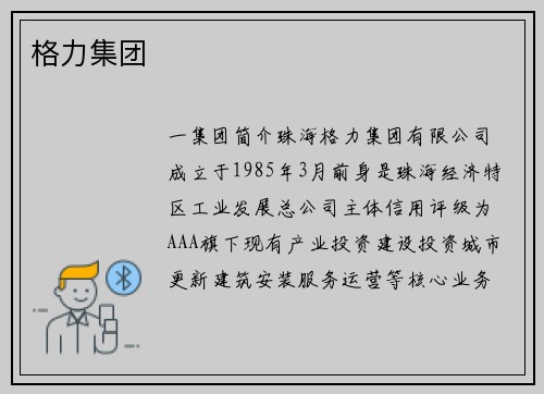格力集团
