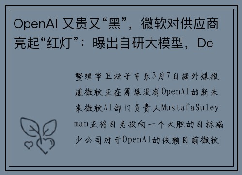 OpenAI 又贵又“黑”，微软对供应商亮起“红灯”：曝出自研大模型，DeepSeek 或成救星？
