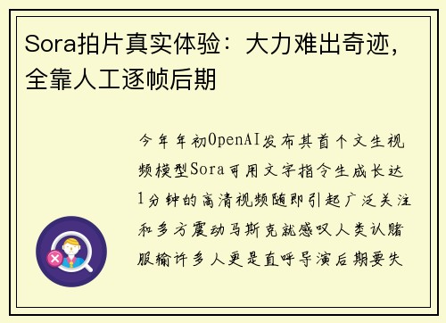 Sora拍片真实体验：大力难出奇迹，全靠人工逐帧后期