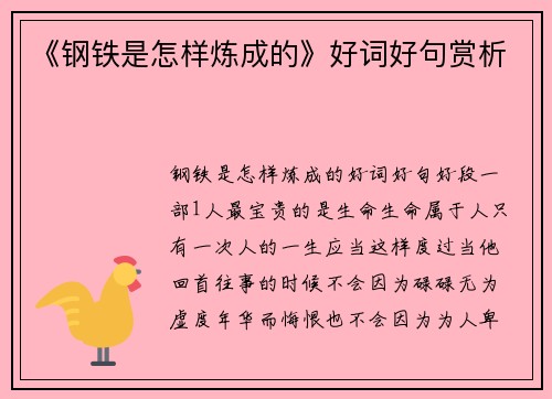 《钢铁是怎样炼成的》好词好句赏析